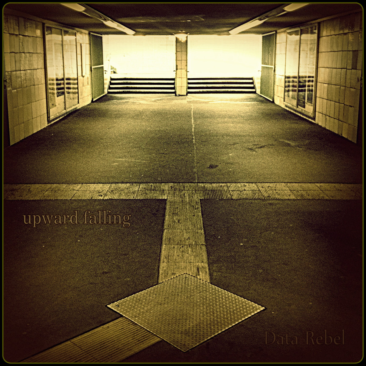 Data Rebel – Upward Falling