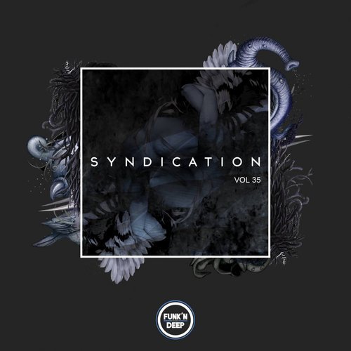 VA – Syndication, Vol. 35