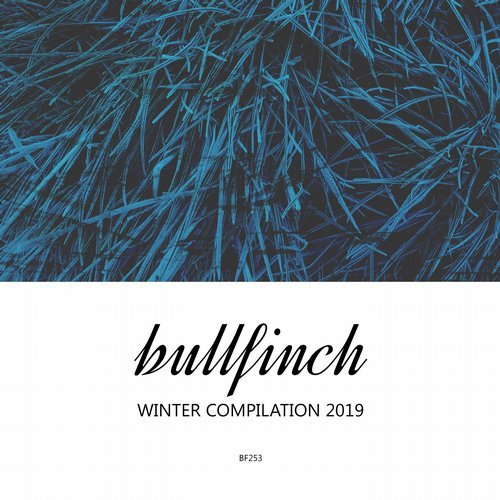 VA – Bullfinch Winter Compilation 2019