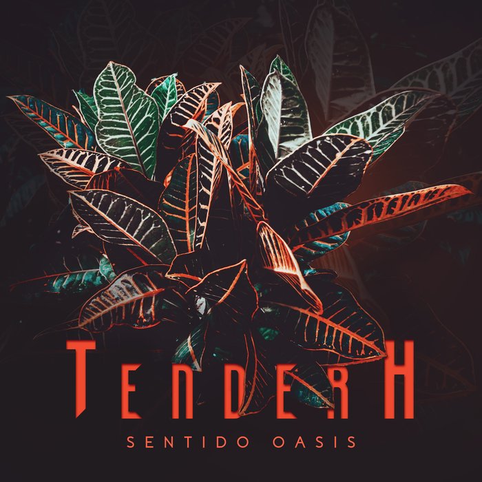 Tender H – Sentido Oasis