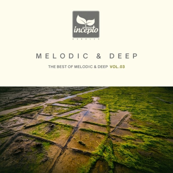 VA – Melodic & Deep, Vol. 03