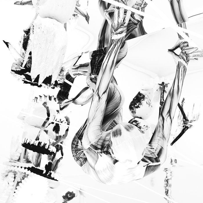 Belp – Crocodile
