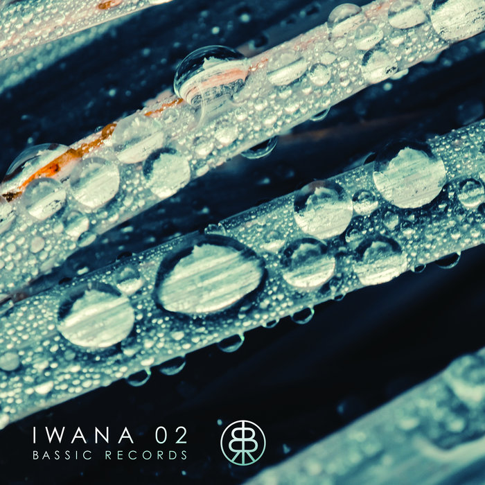 VA – IWANA 02