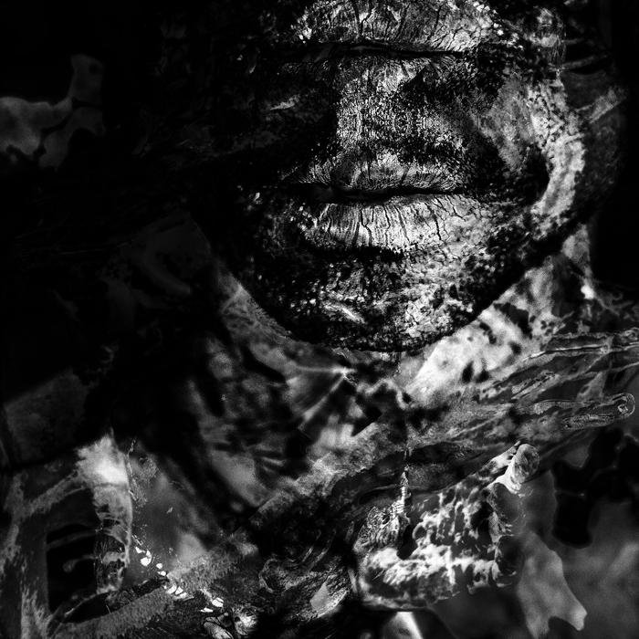 Bjørn Svin – 2 Point 5 Step Pets