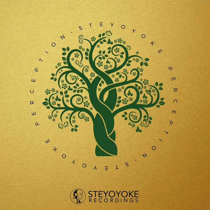 VA – Steyoyoke Perception, Vol. 5