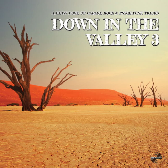 VA – Down in the Valley 3