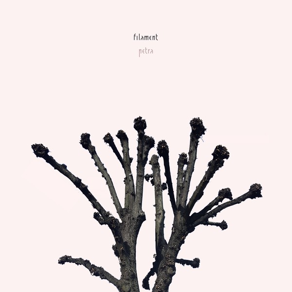 petra – filament