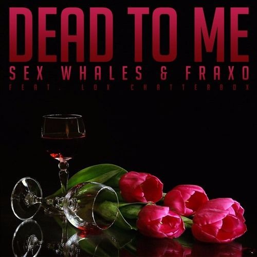 Fraxo & Whales – Dead To Me (Ft. Lox Chatterbox) – Single