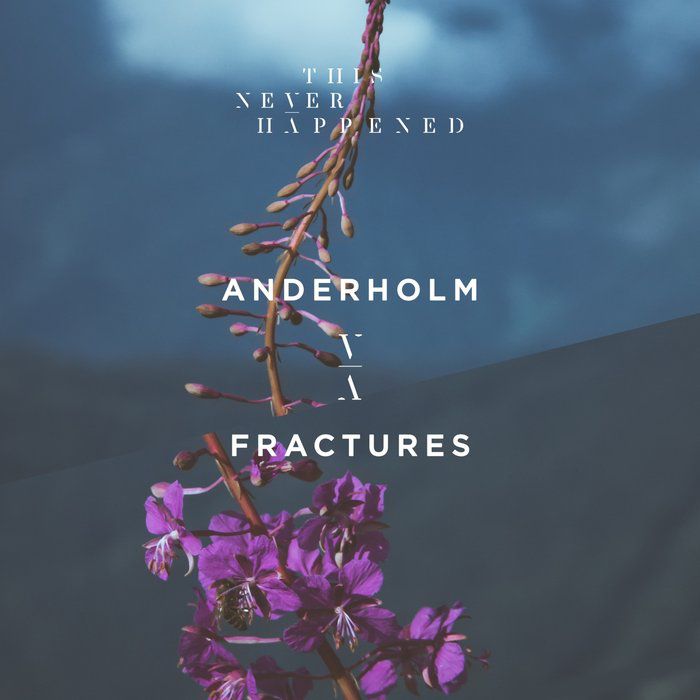 Anderholm – Fractures