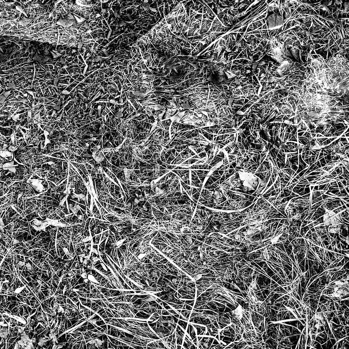 Complex Form – History of Hidden Particles