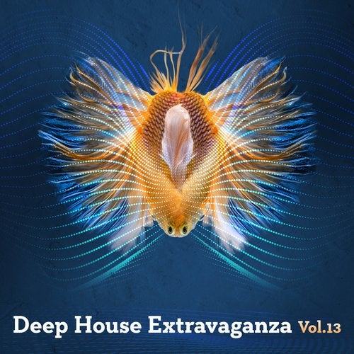 VA – Deep House Extravaganza, Vol.13