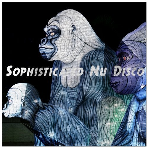 VA – Sohpisticated Nu Disco
