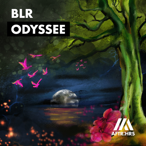 Blr – Odyssee