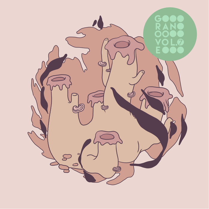 VA – Ran Groove, Vol. 7