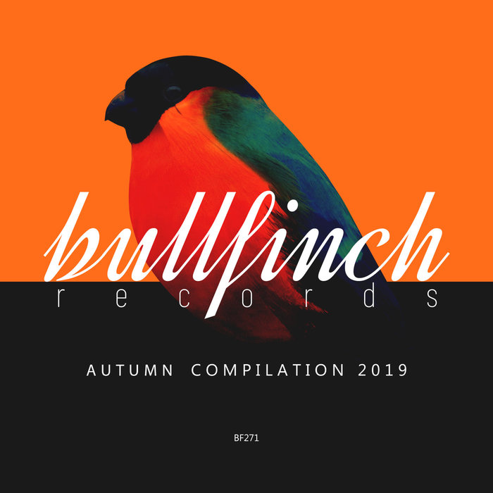 VA – Bullfinch Autumn 2019 Compilation