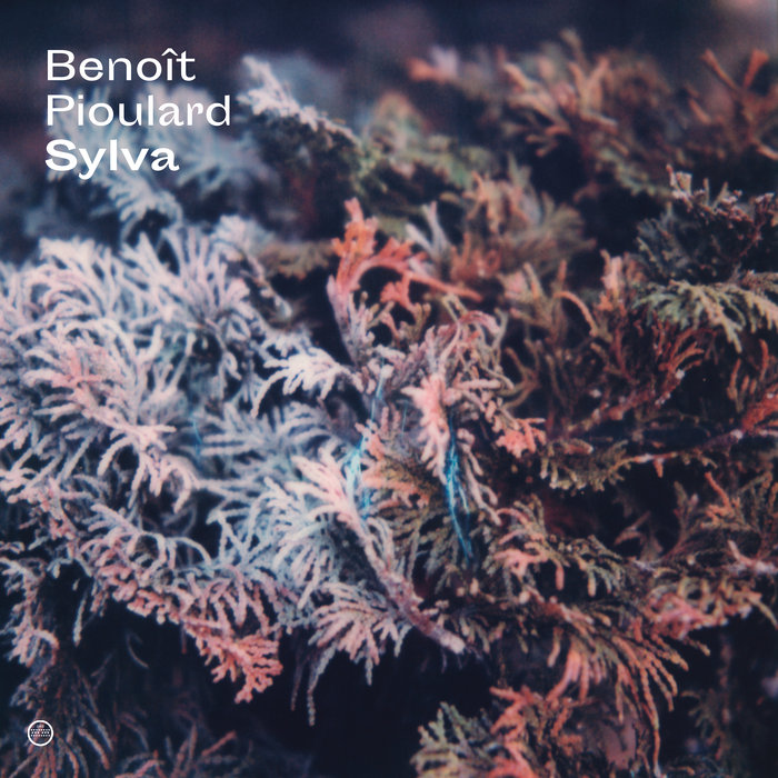 Benoit Pioulard – Sylva