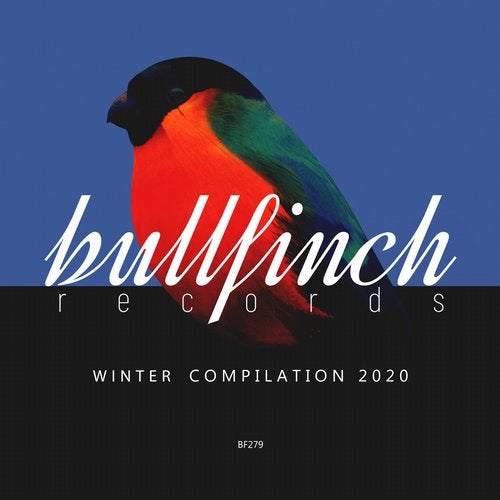 VA – Bullfinch Winter 2020 Compilation