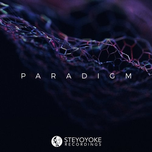 VA – Steyoyoke Paradigm, Vol. 06