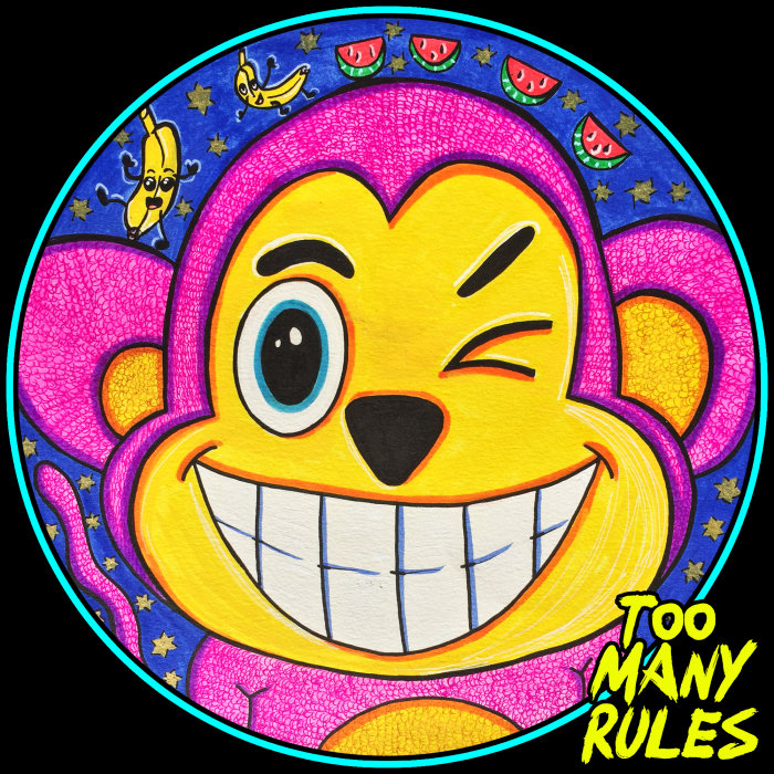 VA – Too Many Rules: Best Of 2019