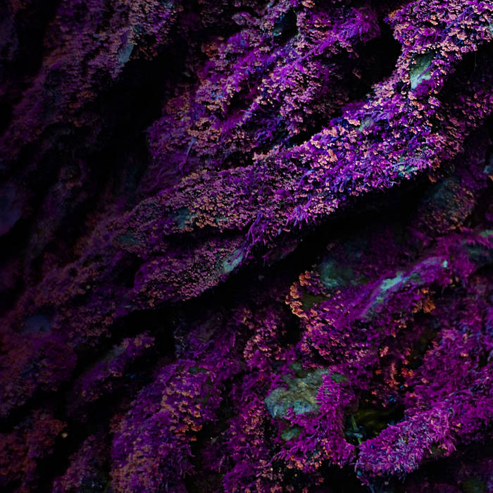 juneunit ‎– juneunit