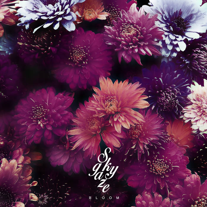 SKYGAZE – BLOOM