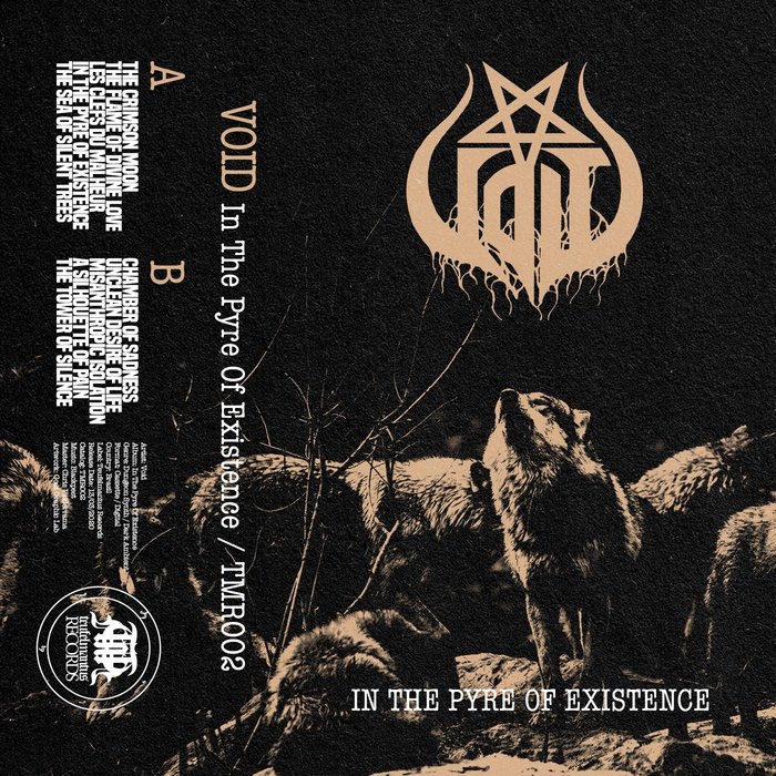 Void – In The Pyre Of Existence