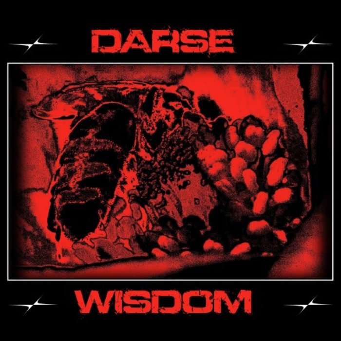 Darse – Wisdom