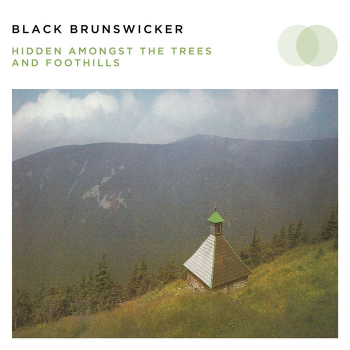 Black Brunswicker – Hidden Amongst the Trees and Foothills