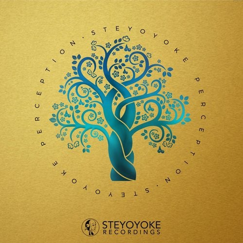 VA – Steyoyoke Perception, Vol. 7