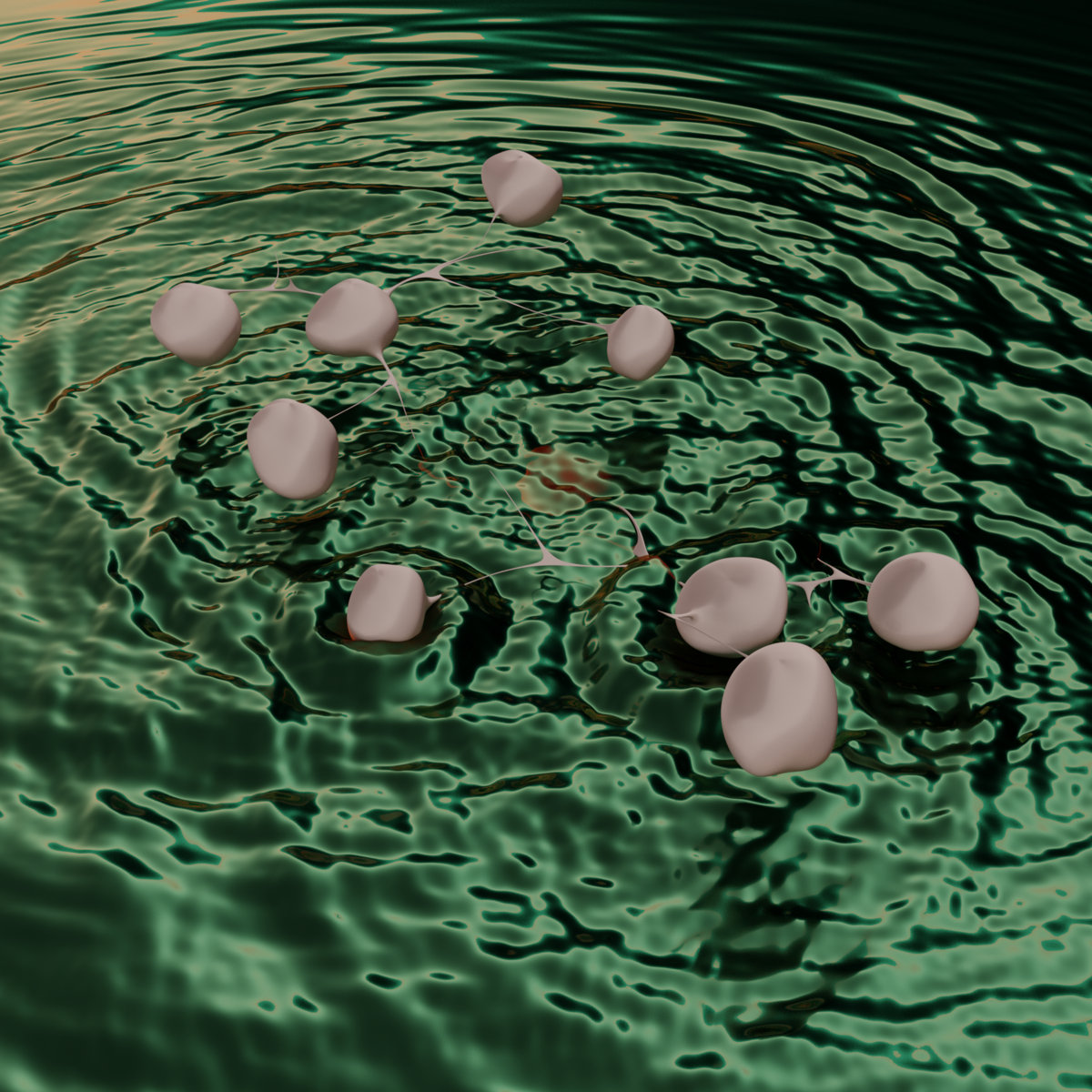 RAMZi – cocoons