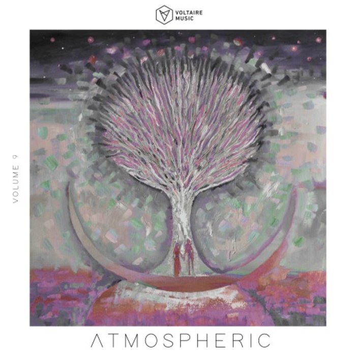 VA – Voltaire Music Pres. Atmospheric, Vol. 9