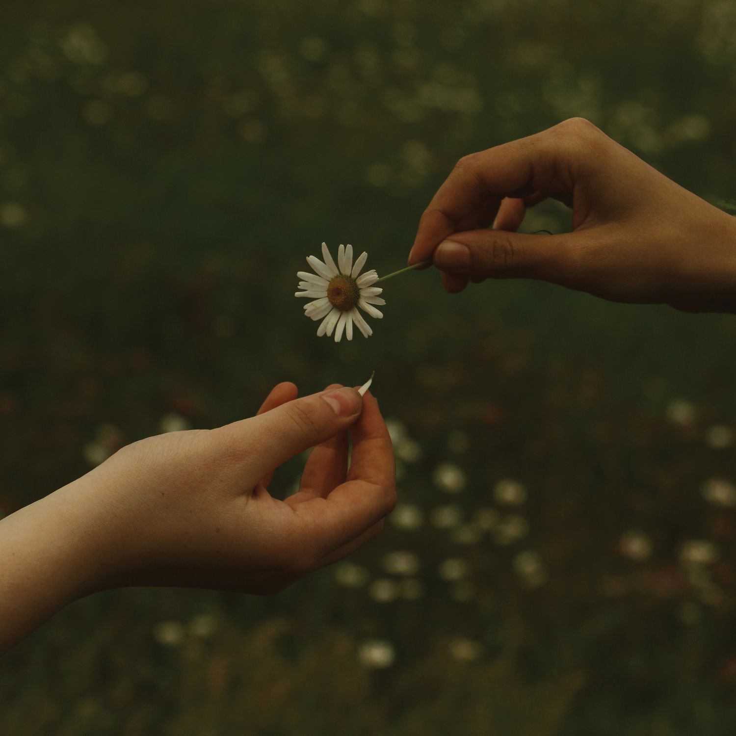 Goldmund – The Time It Takes