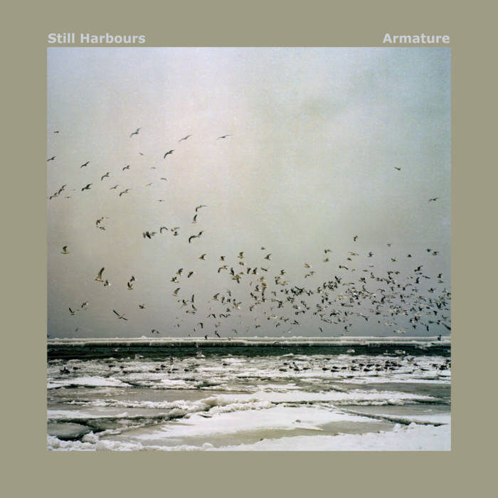 Still Harbours – Armature
