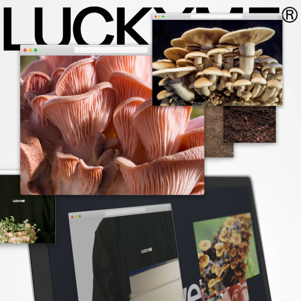 VA – LuckyMe Advent Calendar 20