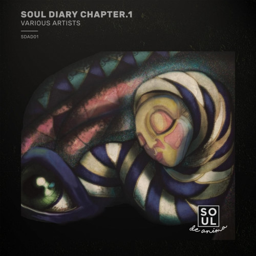 VA – Soul Diary Chapter.1