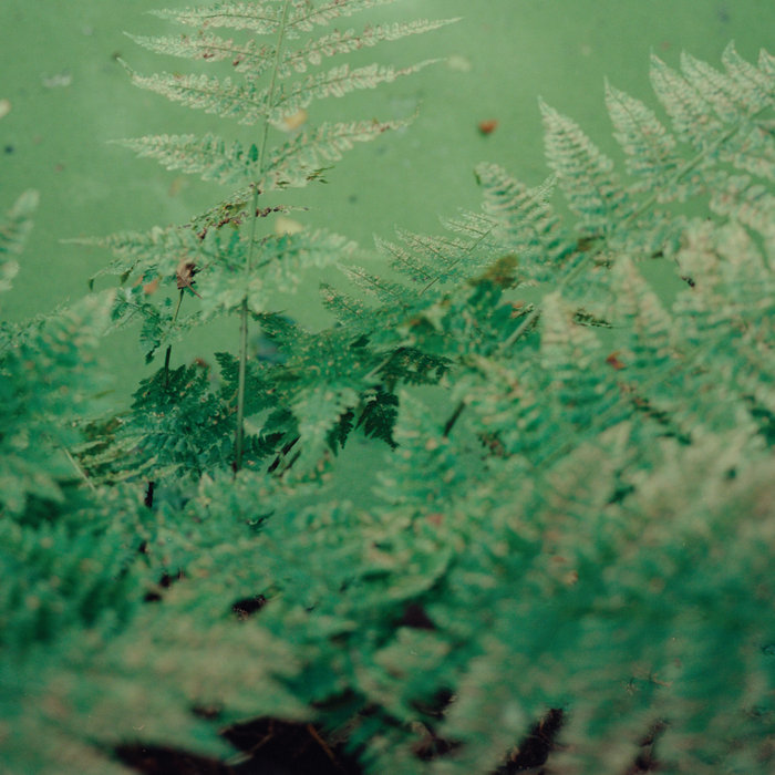 Gardens of God – Soundtrack For The End