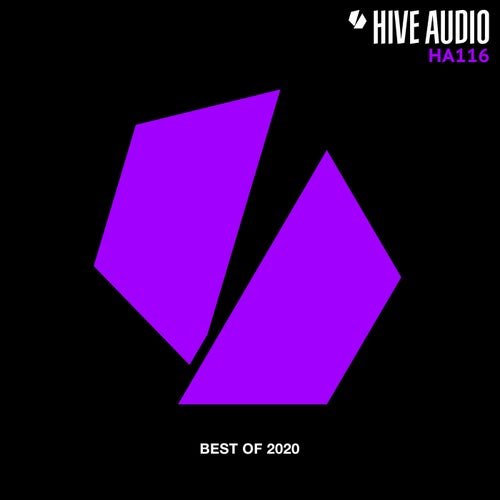 VA – Hive Audio Best of 2020