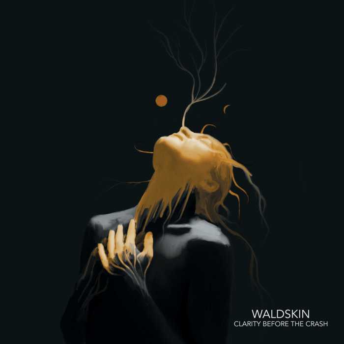 Waldskin – Clarity Before the Crash