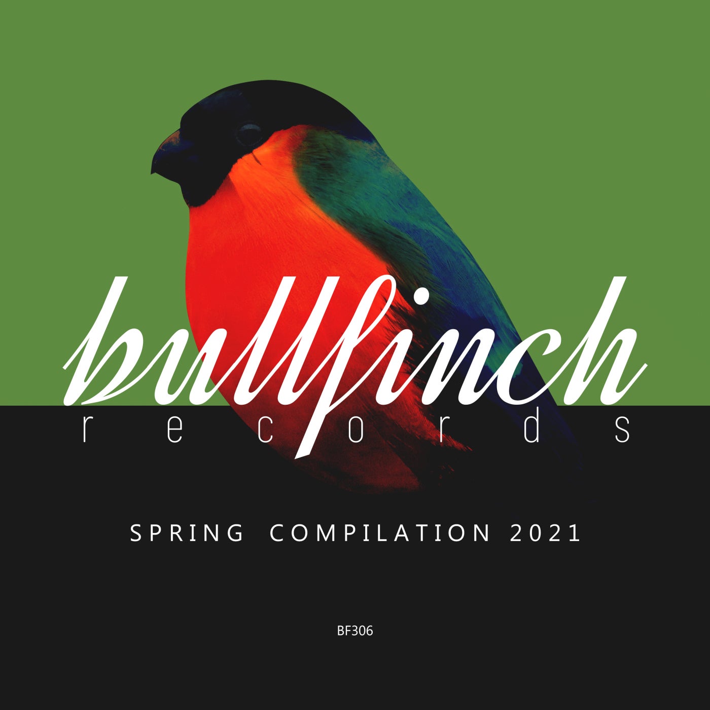 VA – Bullfinch Spring 2021 Compilation