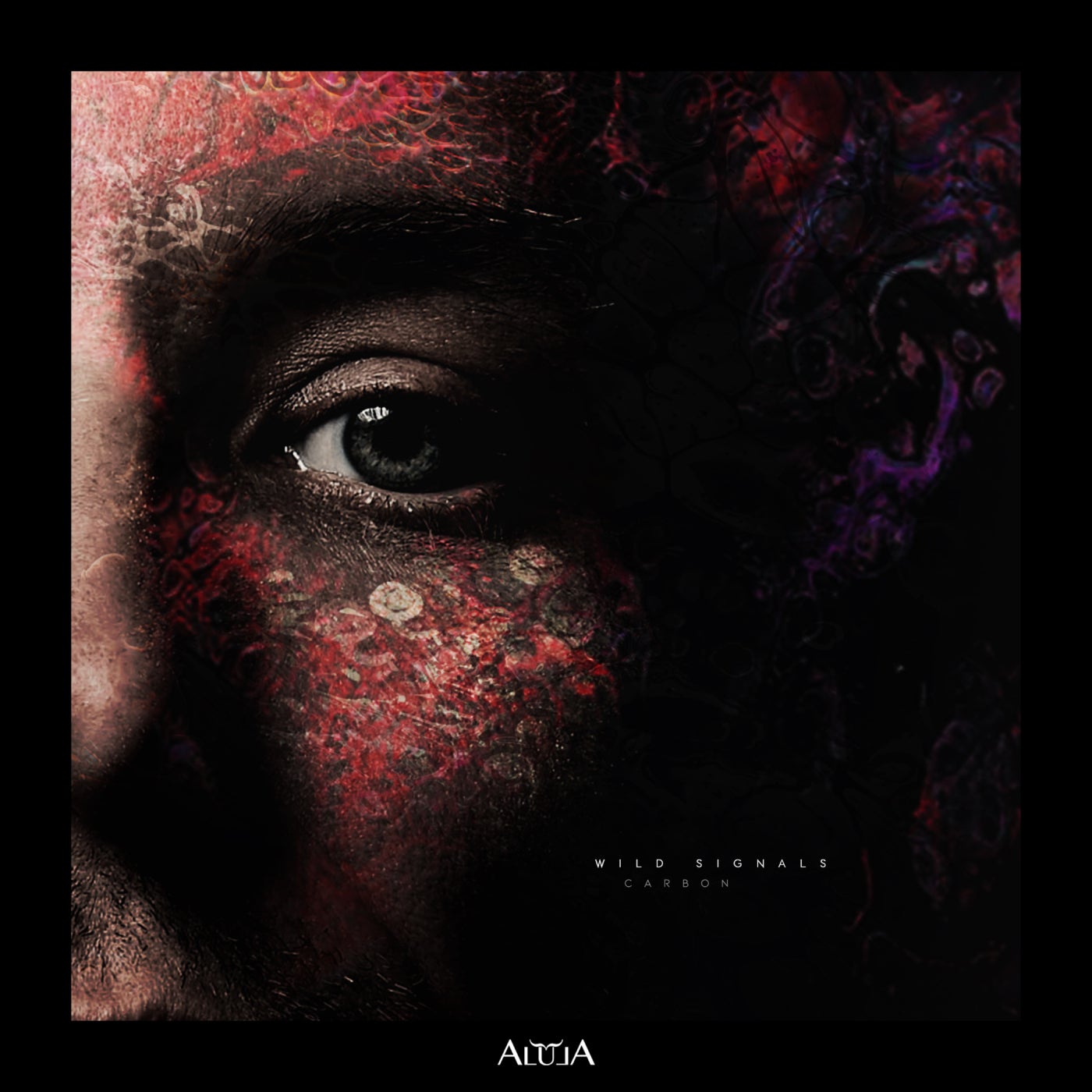 Carbon – Wild Signals