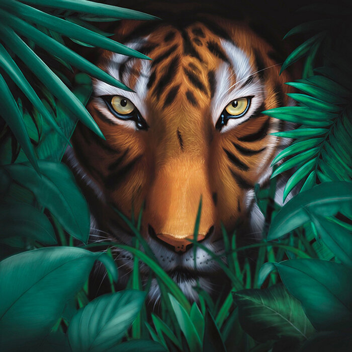A Vision Of Panorama – Unique Tiger