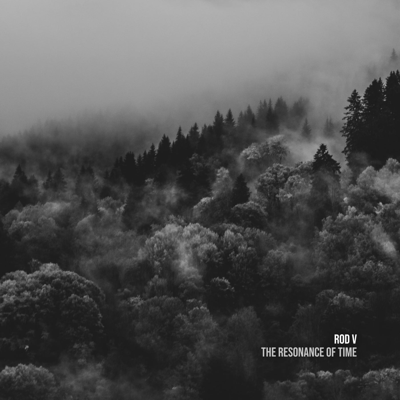 Rod V – The Resonance of Time