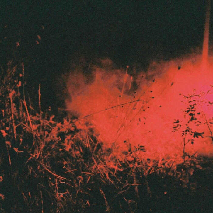 VA – V/A
