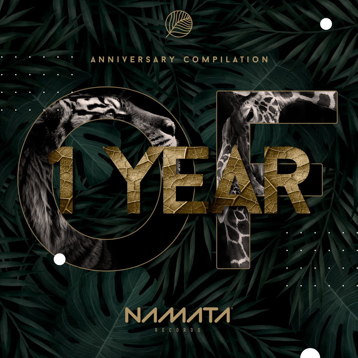 VA – 1 Year of Namata