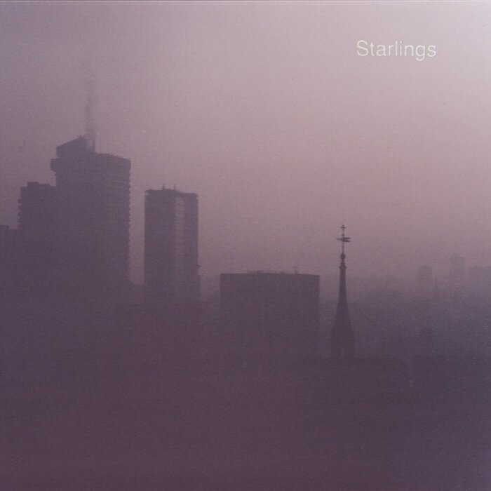 Starlings – Starlings