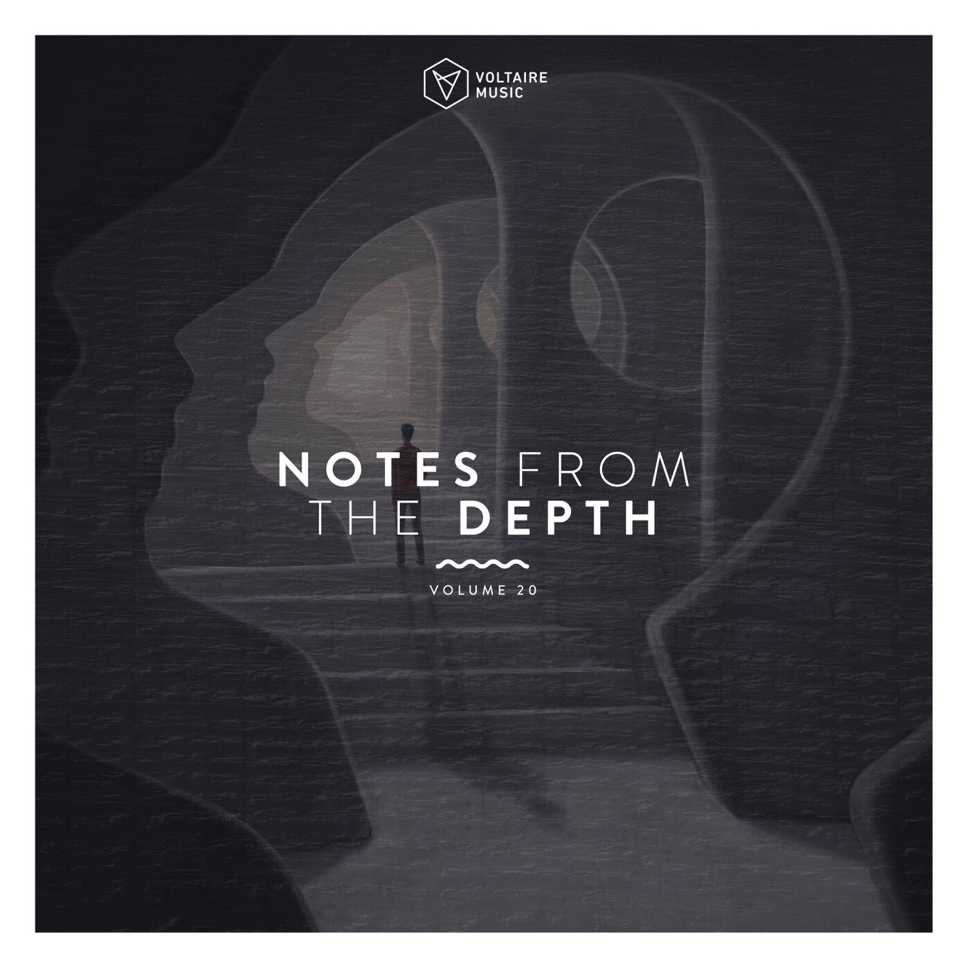 VA – Notes from the Depth, Vol. 20