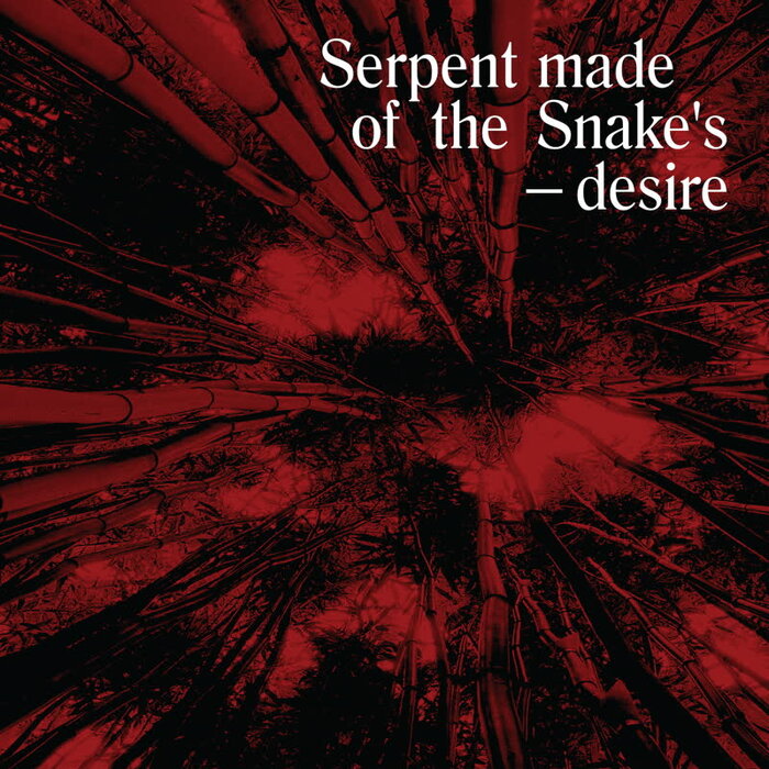 VA – Serpent Made of the Snake’s Desire: Bedouin Records Selected Discography 2014-2016