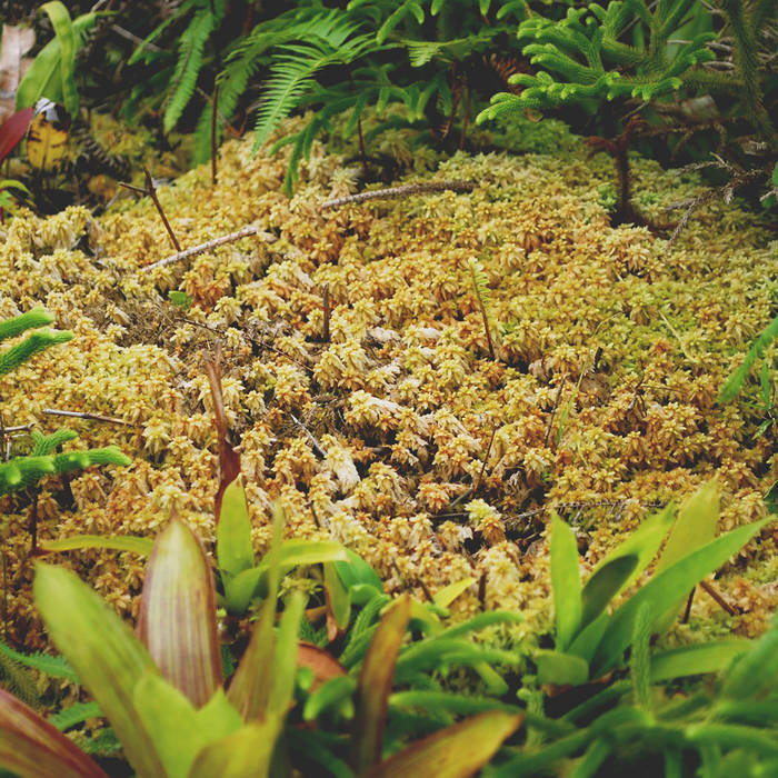 Brendon Moeller – Yeoville