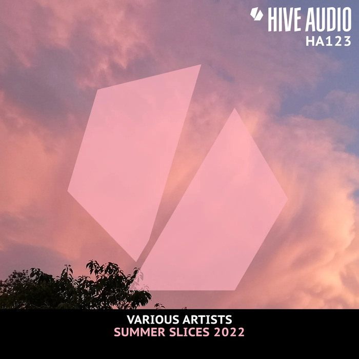 VA – Hive Audio Summer Slices 2022