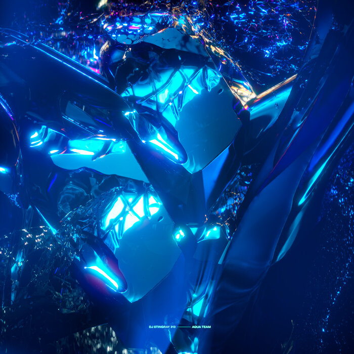 DJ Stingray 313 – Aqua Team